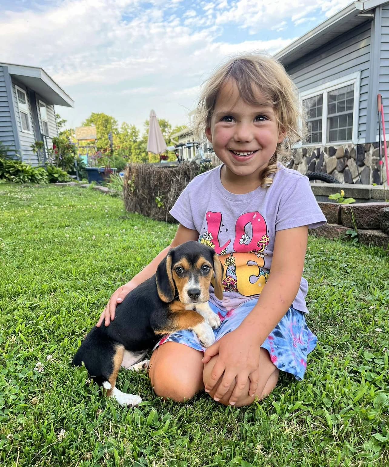 Beagle